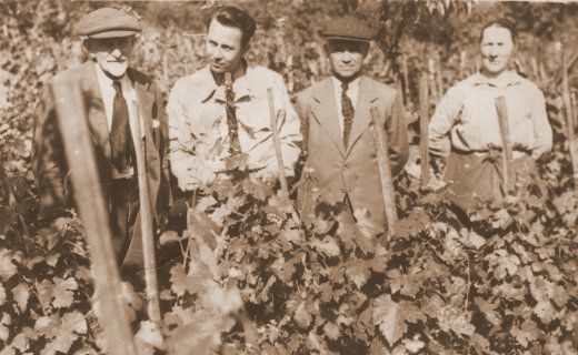 Frederick Butcher v račianskych vinohradoch